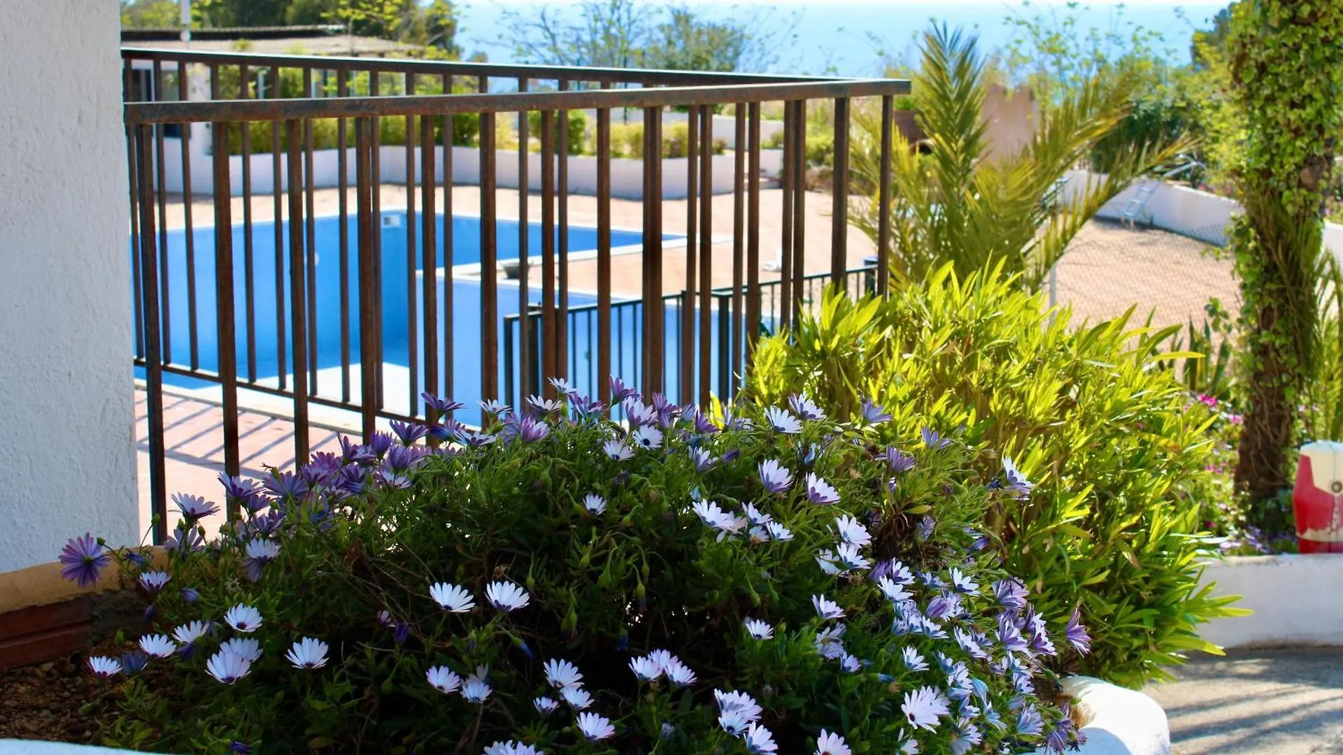 Estudio A 100M De La Playa Tossa de Mar