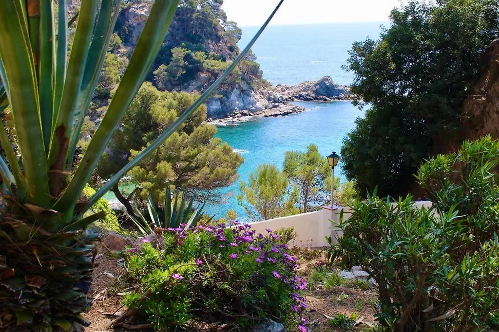 Estudio A 100M De La Playa Tossa de Mar Apartmán
